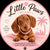Little Paws - Home